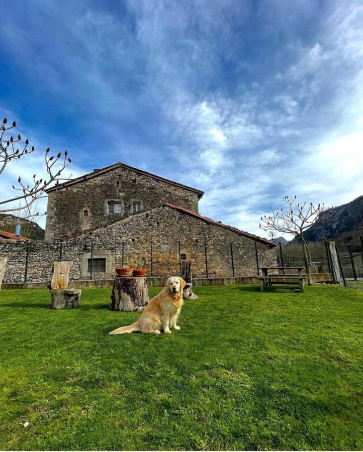 Hotel Rural El Torrejon Arenas De Cabrales Exteriör bild