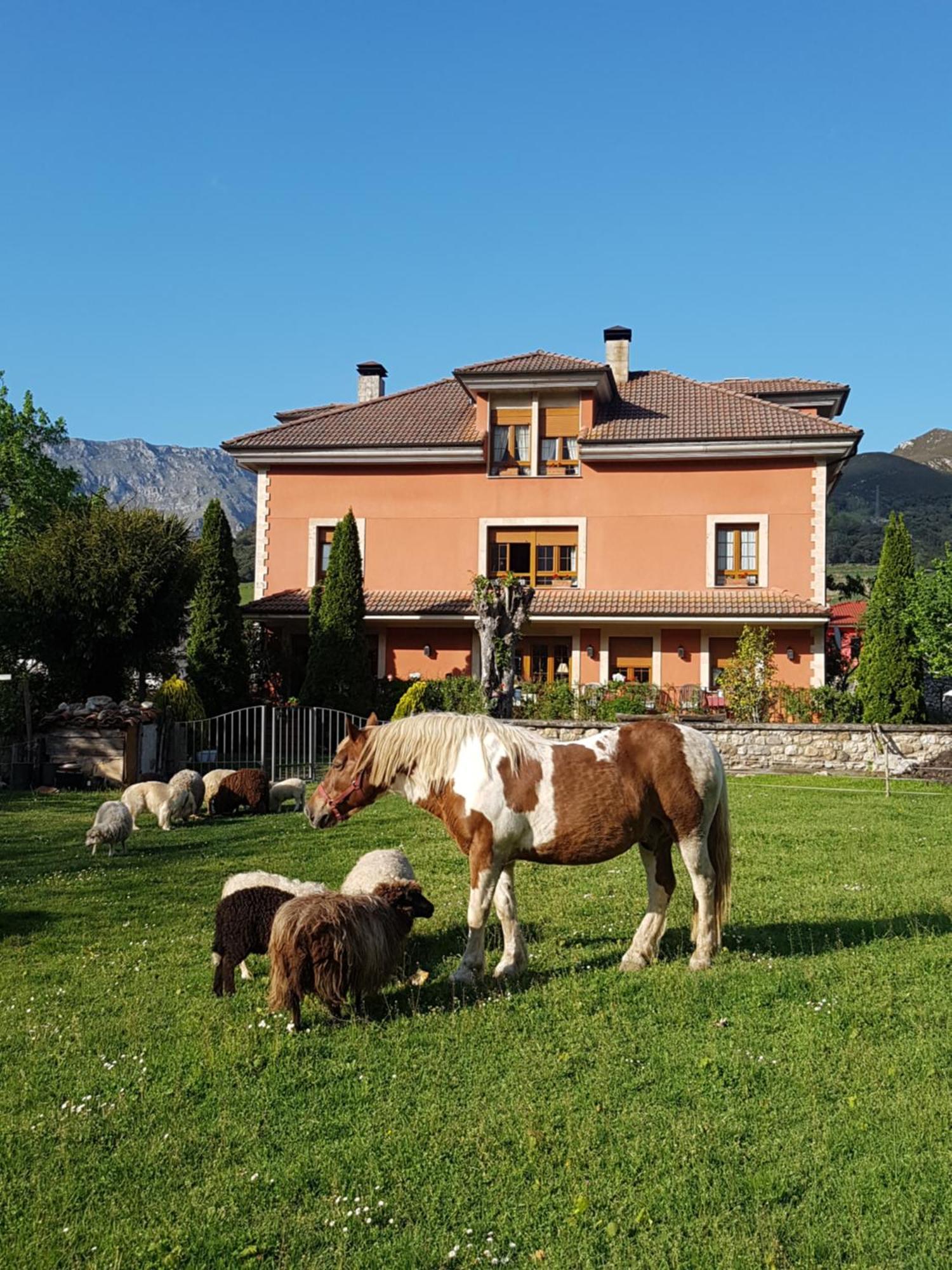 Hotel Rural El Torrejon Arenas De Cabrales Exteriör bild